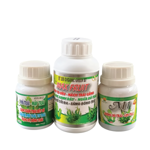 BỘ 3 NUÔI TRÁI NON - (MAX FRUIT + M1 + PHÌ TRÁI MẬP TRÁI)