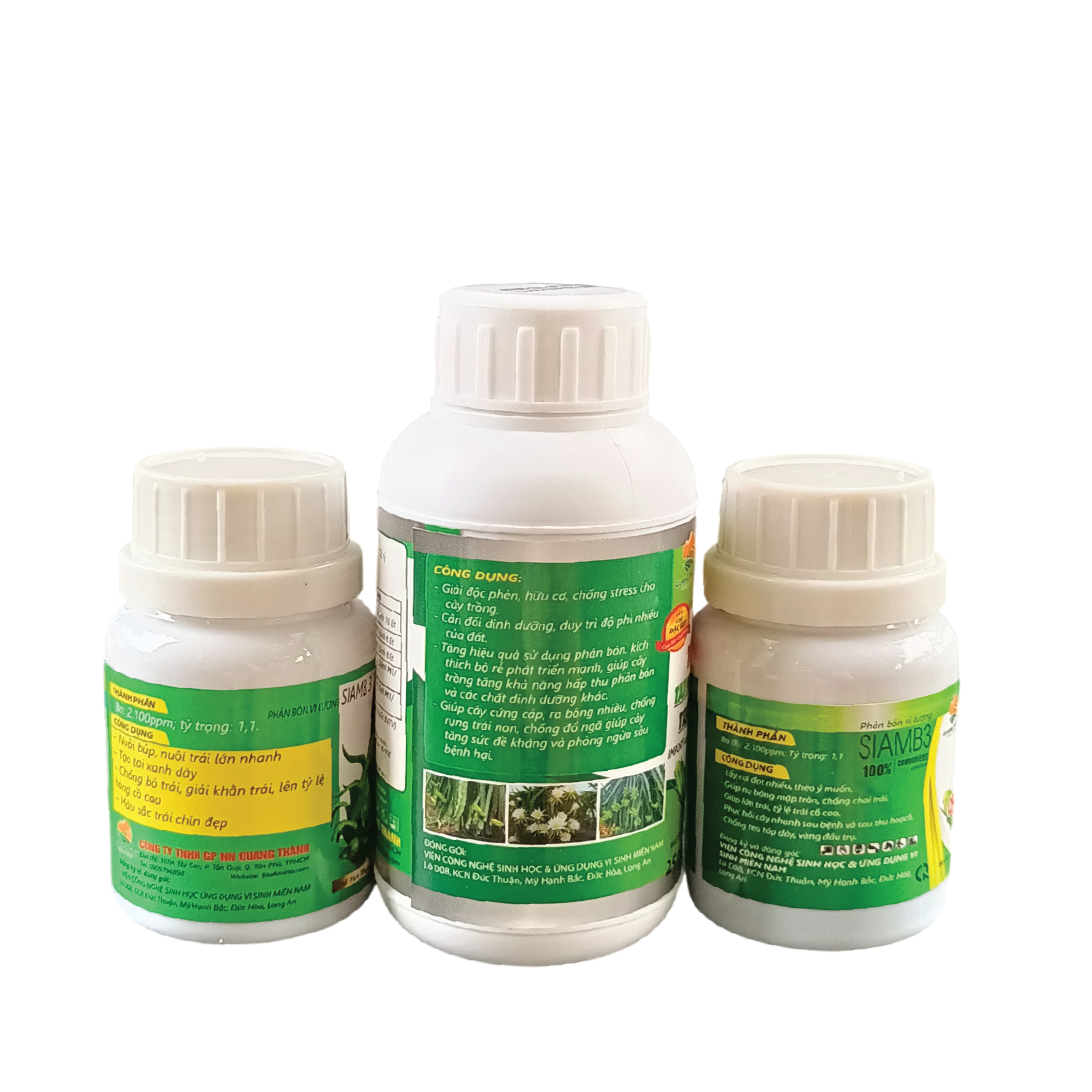 BỘ 3 NUÔI TRÁI NON - (MAX FRUIT + M1 + PHÌ TRÁI MẬP TRÁI) - Ảnh 2