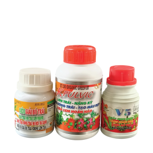 BỘ 3 NUÔI TRÁI LỚN - (K FRUIT + V2 + SIÊU LỚN TRÁI)