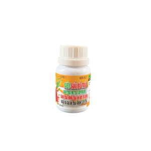 SIÊU GIẢI BÓ TRÁI (GIẢI BÓ, PHÌ TRÁI)