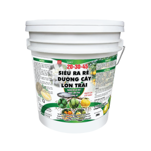 SIÊU RA RỄ, DƯỠNG CÂY, LỚN TRÁI